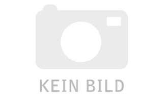 Gudereit LC 30 evo Damenrahmen von Zweirad Mlady GmbH, 90522 Oberasbach