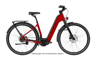 Simplon Chenoa Bosch CX, Uni, TR von Rad+Tat Fahrradhandel GmbH, 59174 Kamen