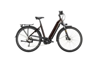 Victoria Trekking 12.8 von Fahrrad Kaiser - AKA Alfred Kaiser GmbH, 78628 Rottweil