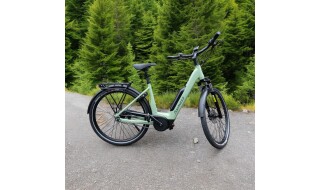 ADVANCED EBIKE Tour Plus von Der-Radprofi, 59071 Hamm