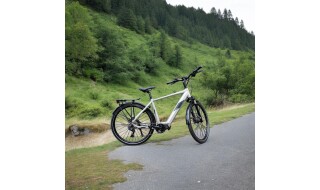 MORRISON E 8.0 von Der-Radprofi, 59071 Hamm