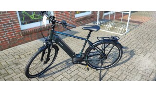 Raleigh Bristal 8 von Radsport Hellweg, 26683 Saterland OT Ramsloh